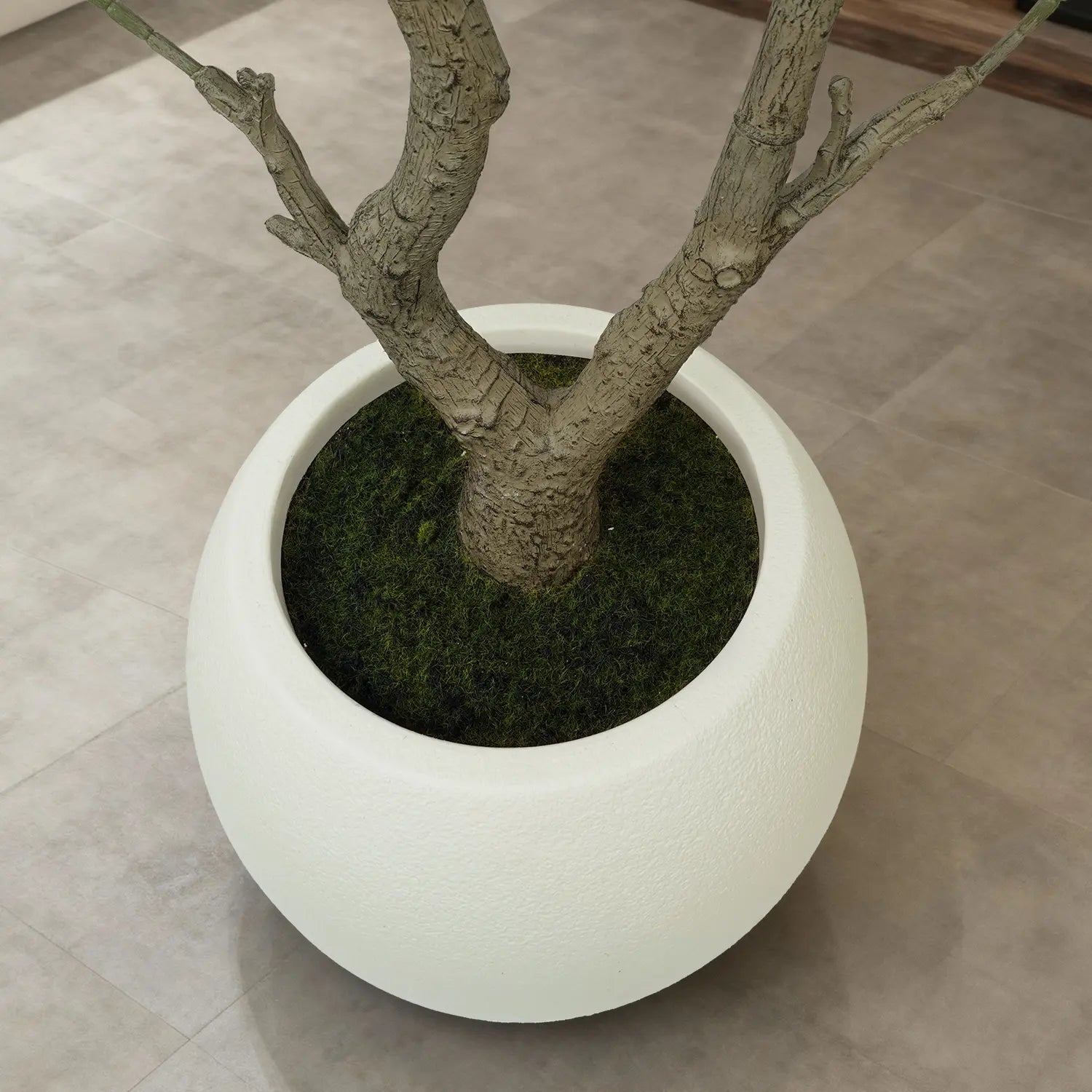 Premium Faux Olive Tree with Thick Natural Trunk (150cm - 240cm Deluxe Plant)