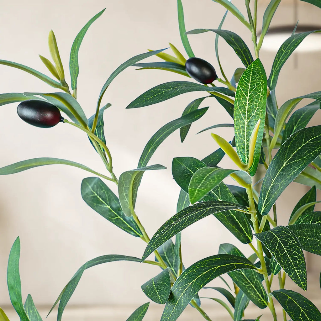 Premium Faux Olive Tree with Thick Natural Trunk (150cm - 240cm Deluxe Plant)
