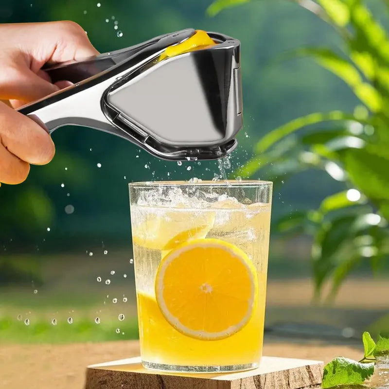Heavy-Duty Stainless Steel Lemon & Citrus Juicer