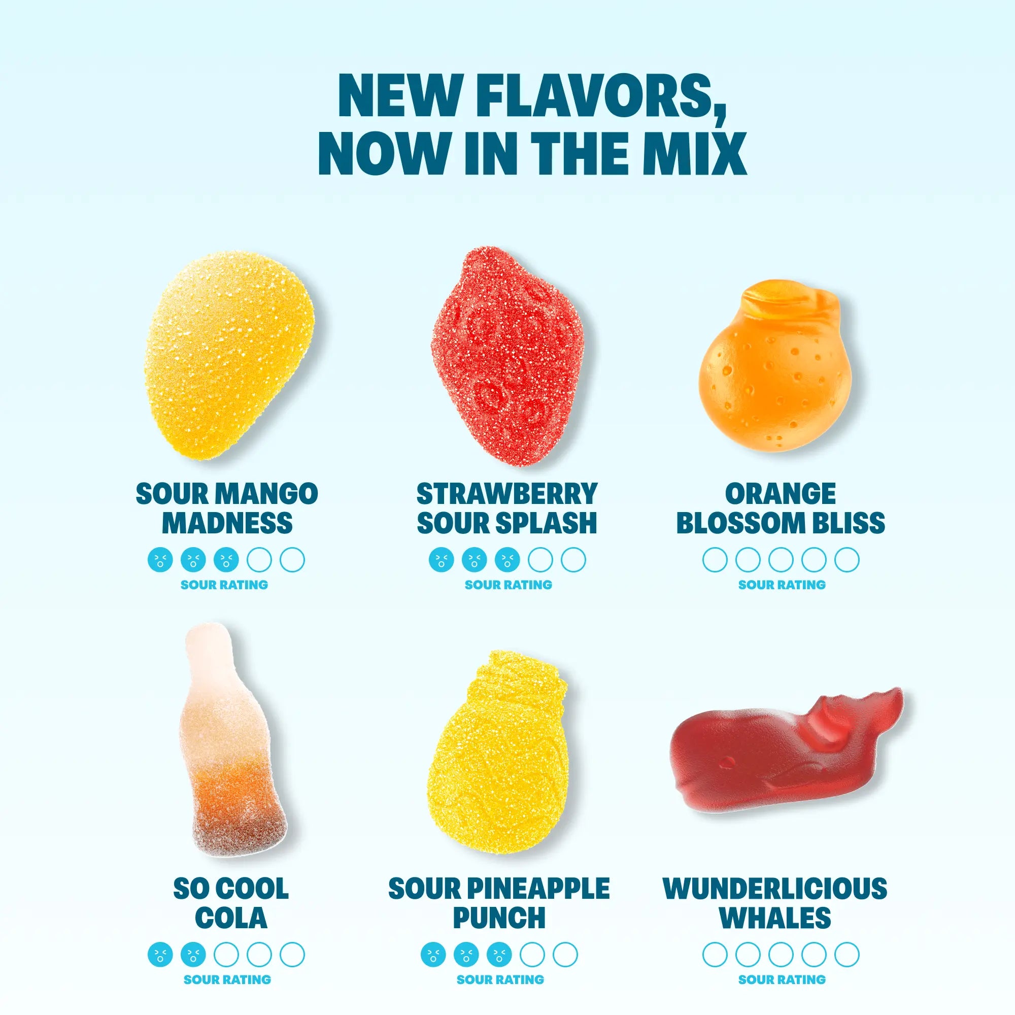 Shameless Snacks 12-Flavor Fruit Gummies Bundle | Low Sugar, Keto-Friendly & Gluten-Free – Healthy Snack Variety Pack with Classic & New Flavours