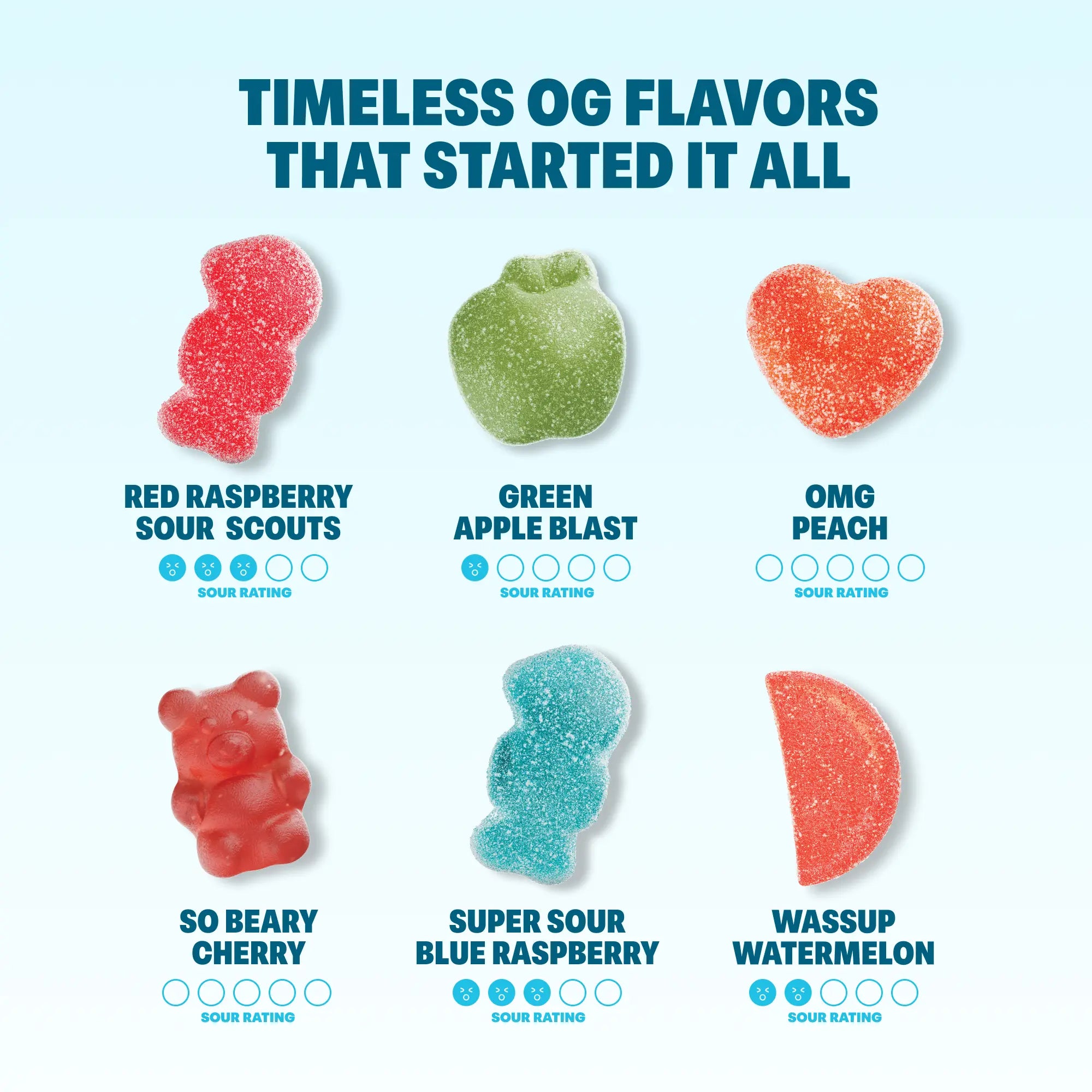 Shameless Snacks 12-Flavor Fruit Gummies Bundle | Low Sugar, Keto-Friendly & Gluten-Free – Healthy Snack Variety Pack with Classic & New Flavours